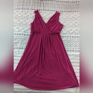 Scarlett Nite Petite Dress